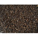 Grano saraceno