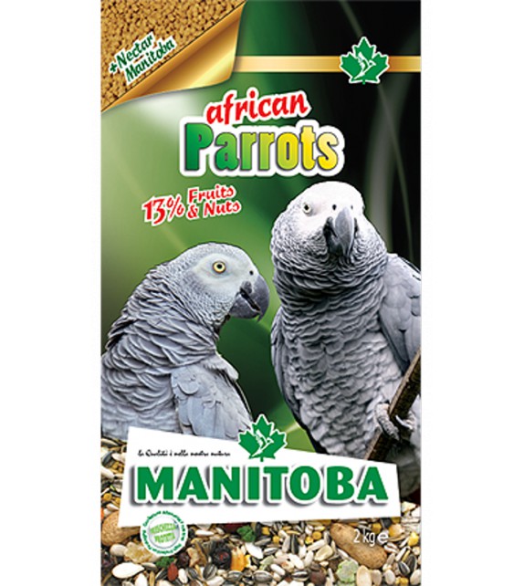 African Parrots