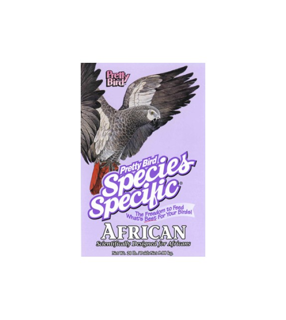 Pretty bird species specific - AFRICAN
