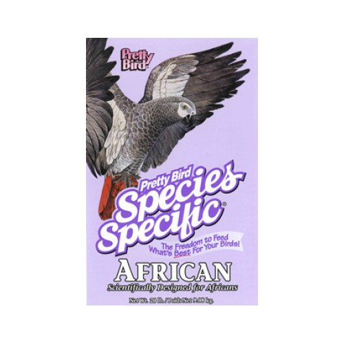 Pretty bird species specific - AFRICAN