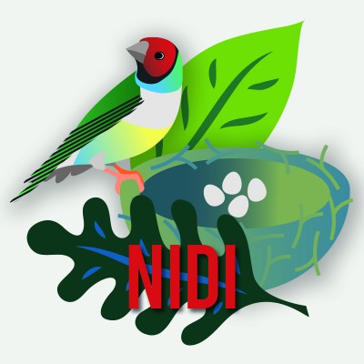 Nidi